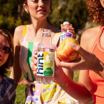Hint Crisp Apple Flavored Water, 16 oz., 12/Carton (00104)