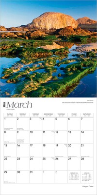 2026 BrownTrout Oregon Coast 12" x 12" Monthly Wall Calendar (9798330704996)