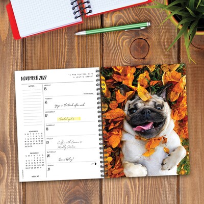 2027 Willow Creek Doug the Pug 6.5" x 8.5" Weekly & Monthly Desk Calendar (64405)