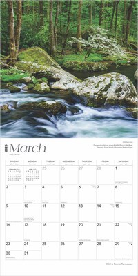 2025 BrownTrout Tennessee Wild & Scenic 12" x 12" Monthly Wall Calendar (9781975475765)