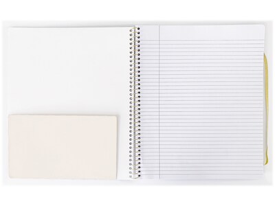 Carolina Pad Keep it in line Professional Notebook, 9.65" x 11.6", College-Ruled, 100 Sheets, Assorted Colors (10000)