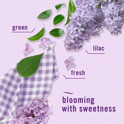 Febreze Air Mist Air Freshener Spray, Southern Lilac Mornings Scent, 8.8 oz., 2/Pack (13749)