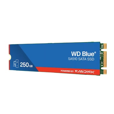 Western Digital Blue SA510 250GB M.2 2280 SATA III Solid State Drive, 3D NAND (WDS250G3B0B-00AXS0)