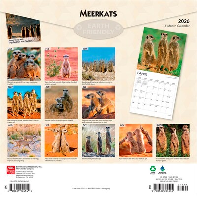2026 BrownTrout Meerkats 12 x 12 Monthly Wall Calendar (9798330704545)
