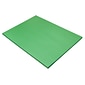 Prang 18" x 24" Construction Paper, Holiday Green, 50 Sheets/Pack (P8017-0001)