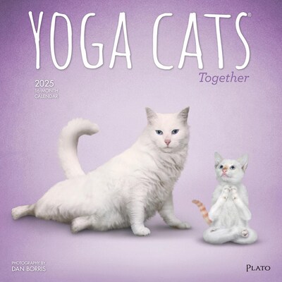2025 Plato Yoga Cats Together 12 x 24 Monthly Square Wall Calendar, (9781975480110)