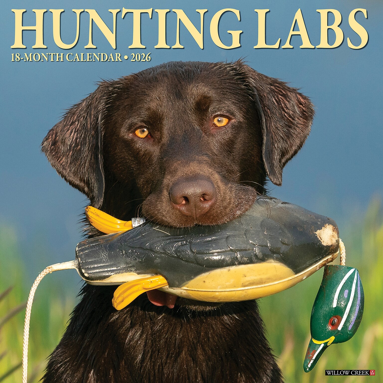2026 Willow Creek Hunting Labs 12 x 12 Monthly Wall Calendar (55458)