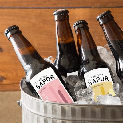 Avery Laser/Inkjet Rectangle Multipurpose Labels, 2" x 4", White, 500 Labels/Box  (94207)