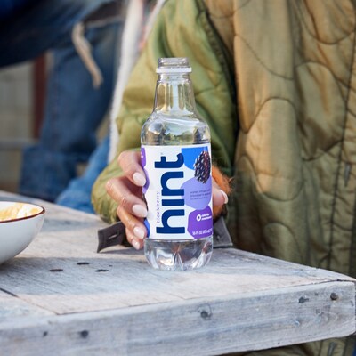 Hint Blackberry Flavored Water, 16 oz., 12/Carton (00034)
