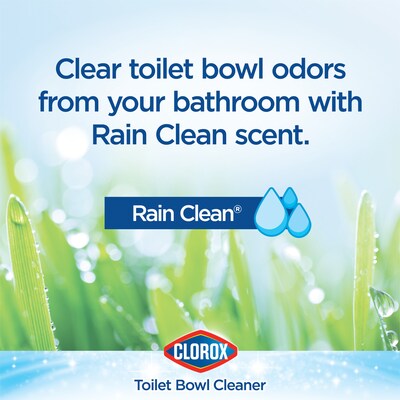 Clorox Disinfecting Toilet Bowl Cleaner with Bleach, Rain Clean Scent, 24 Oz., 2/Pack (00273)