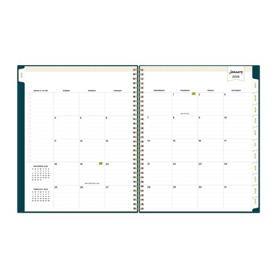 2026 Blue Sky Day Designer Peacock 8.5" x 11"  Weekly & Monthly Planner, Plastic Cover, Multicolored (143889-26)