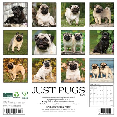 2026 Willow Creek Pugs 12 x 12 Monthly Wall Calendar (52501)