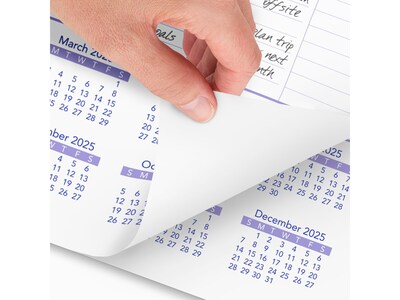 2025 AT-A-GLANCE 12" x 17" Monthly Wall Calendar, (PM2-28-25)