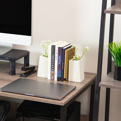 Mind Reader Concrete Book Ends, 5", White, 2/Set (RBPLANT-WHT)