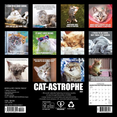 2027 Willow Creek Cat-astrophe 7 x 7 Monthly Wall Calendar (63941)