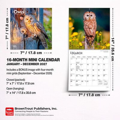 2027 BrownTrout Owls 7" x 7" Monthly Wall Calendar (9798330709847)