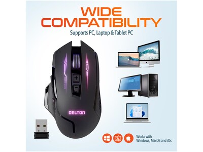 Delton G37 Wireless Ergonomic Optical Gaming Mouse, Black (DMGAM37ERG)