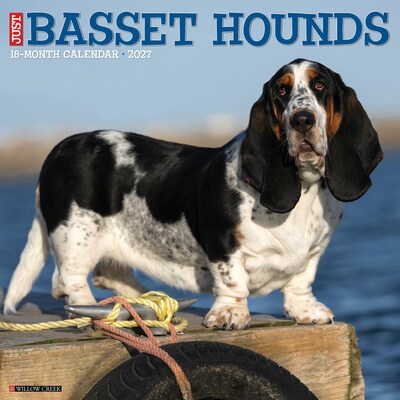 2027 Willow Creek Basset Hounds 12 x 12 Monthly Wall Calendar, Assorted Colors (59043)