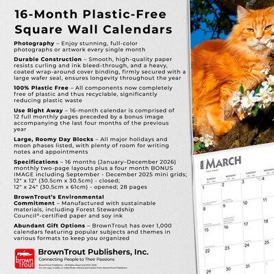 2026 BrownTrout Cat Lovers 12" x 12" Monthly Wall Calendar (9798330702787)