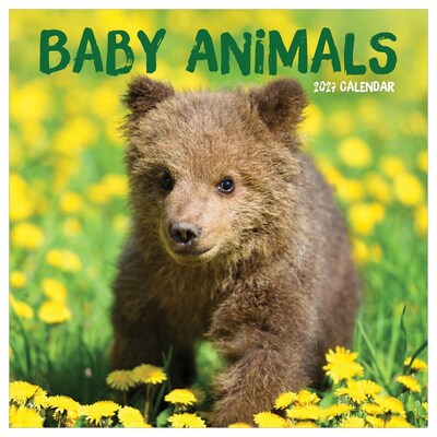 2027 TF Publishing Baby Animals 11 x 12 Monthly Wall Calendar (27-1000)