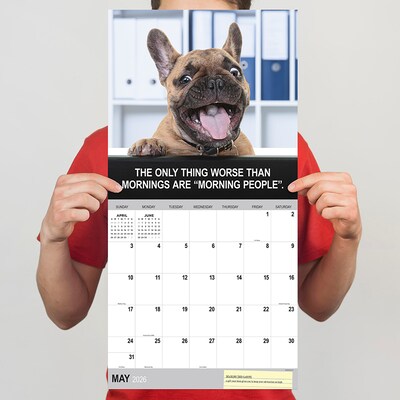 2026 TF Publishing Desk Dogs 12" x 12" Monthly Wall Calendar (26-1052)