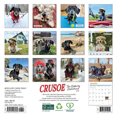 2026 Willow Creek Crusoe the Celebrity Dachshund 7 x 7 Monthly Wall Calendar (53539)