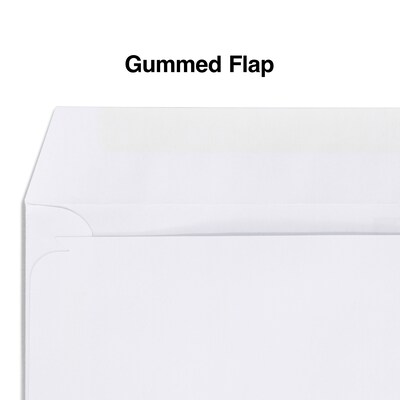 Staples® Gummed Double-Window 4 3/16" x 9" Envelopes for Laser Forms; White 1,000/Box (381911/17045)