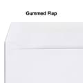 Staples® Gummed Double-Window 4 3/16 x 9 Envelopes for Laser Forms; White 1,000/Box (381911/17045)