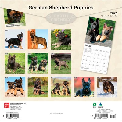 2026 BrownTrout German Shepherd Puppies 12 x 12 Monthly Wall Calendar (9798330703364)