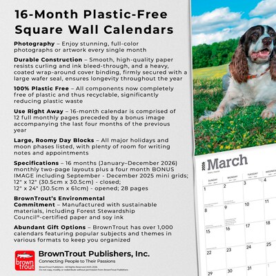 2026 BrownTrout English Springer Spaniels 12" x 12" Monthly Wall Calendar (9798330703227)