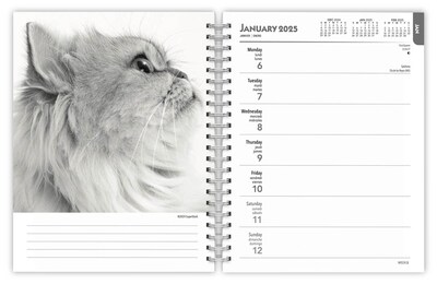 2025 BrownTrout Portrait Series: The Regal Cat 6" x 7.75" Weekly Engagement Planner, Paper Cover, Multicolored (9781975473211)