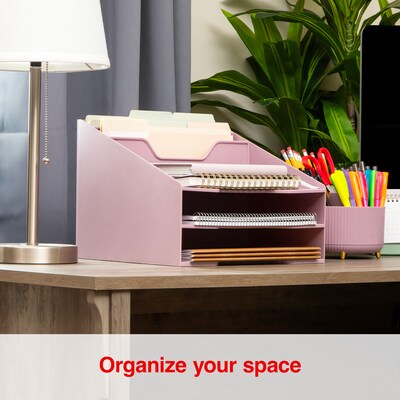 Staples 5-Compartment Plastic Desktop Organizer, Dusty Pink (ST63874)