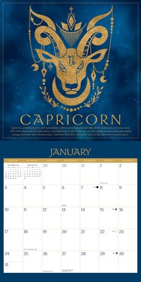 2027 Willow Creek Astrology 12" x 12" Monthly Wall Calendar, Assorted Colors (58893)