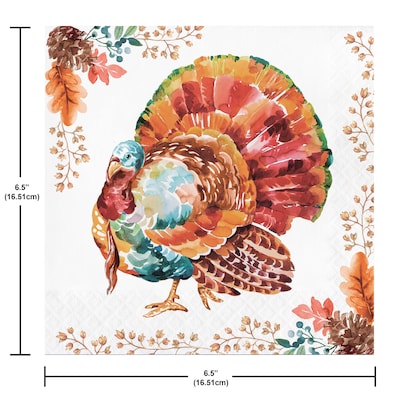 Say Hooray! Tasteful Turkey Paper Plates and Napkins Kit, Multicolored, 48/Pack (DTC9386E2G)