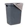 Mind Reader Plastic Laundry Hamper with Lid, Gray (50HAMP-GRY)