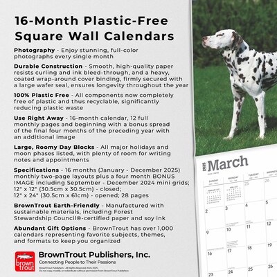 2025 BrownTrout Dalmatians 12" x 24" Monthly Square Wall Calendar, (9781975478117)