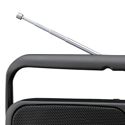 Panasonic Portable AM/FM Radio, Black (RF-2400-K)
