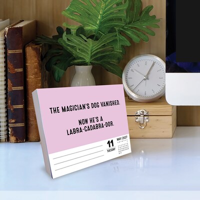 2027 Willow Creek Pun Intended 6.5" x 5.4" Day-to-Day Calendar, Assorted Colors (63705)