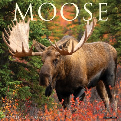 2027 Willow Creek Moose 12 x 12 Monthly Wall Calendar, Assorted Colors (61329)