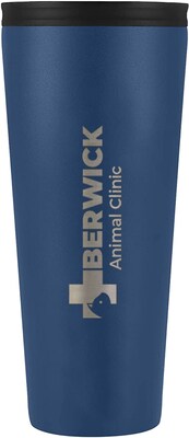 Iron Flask Classic Tumbler 2.0 24 oz