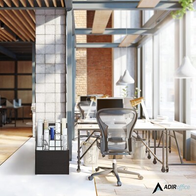 AdirOffice 20-Slot Roll File, 22.24"H x 15.55"W x 15.55"D, Black (ADI628-WBLK)