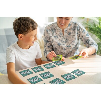 Teacher Created Resources Dino Match Game, 78/Pack (TCR63281)