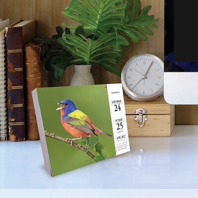 2027 Willow Creek Beauty of Birds 6.2" x 5.4" Daily Day-to-Day Calendar, Assorted Colors (65846)