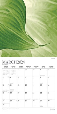 2024 Plato Simplicity 12" x 24" Monthly Wall Calendar (9781975466046)