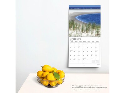 2024-2025 Plato Beaches 12" x 12" Academic & Calendar Monthly Wall Calendar (9781975481315)