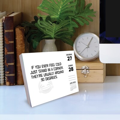 2026 Willow Creek LOL Jokes 6.2" x 5.4" Day-to-Day Calendar (54284)