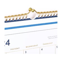 2024-2025 AT-A-GLANCE Simplified by Emily Ley Happy Stripe 15 x 12 Academic Monthly Wall Calendar