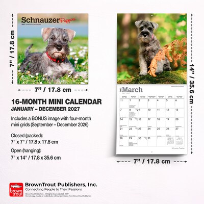2027 BrownTrout Schnauzer Puppies 7" x 7" Monthly Wall Calendar (9798330710072)