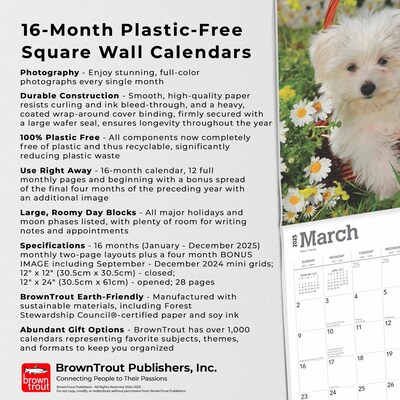 2025 BrownTrout Maltese 12" x 12" Monthly Square Wall Calendar (9781975477400)