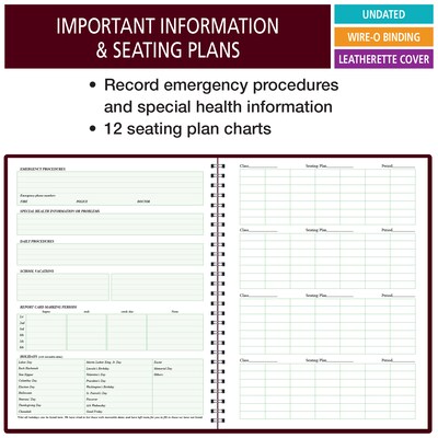 ELAN Undated Record Book, 8.5" x 11", 50/Pack (R1035-CP)